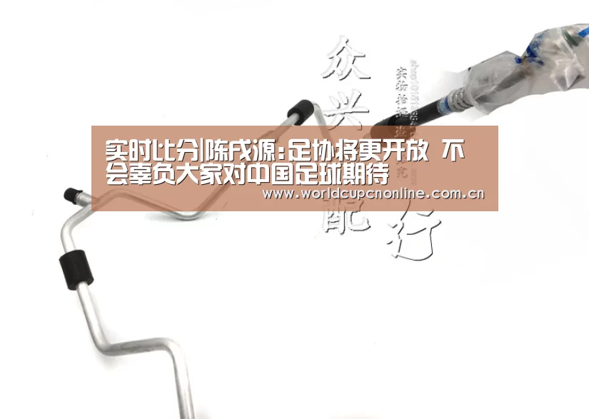 实时比分|陈戌源:足协将更开放 不会辜负大家对中国足球期待(图1) 世界杯直播