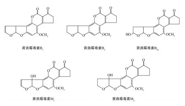 【实时比分】郑州经开区世和小学开设网络美术课教孩子们学习防疫知识(图3) 实时比分